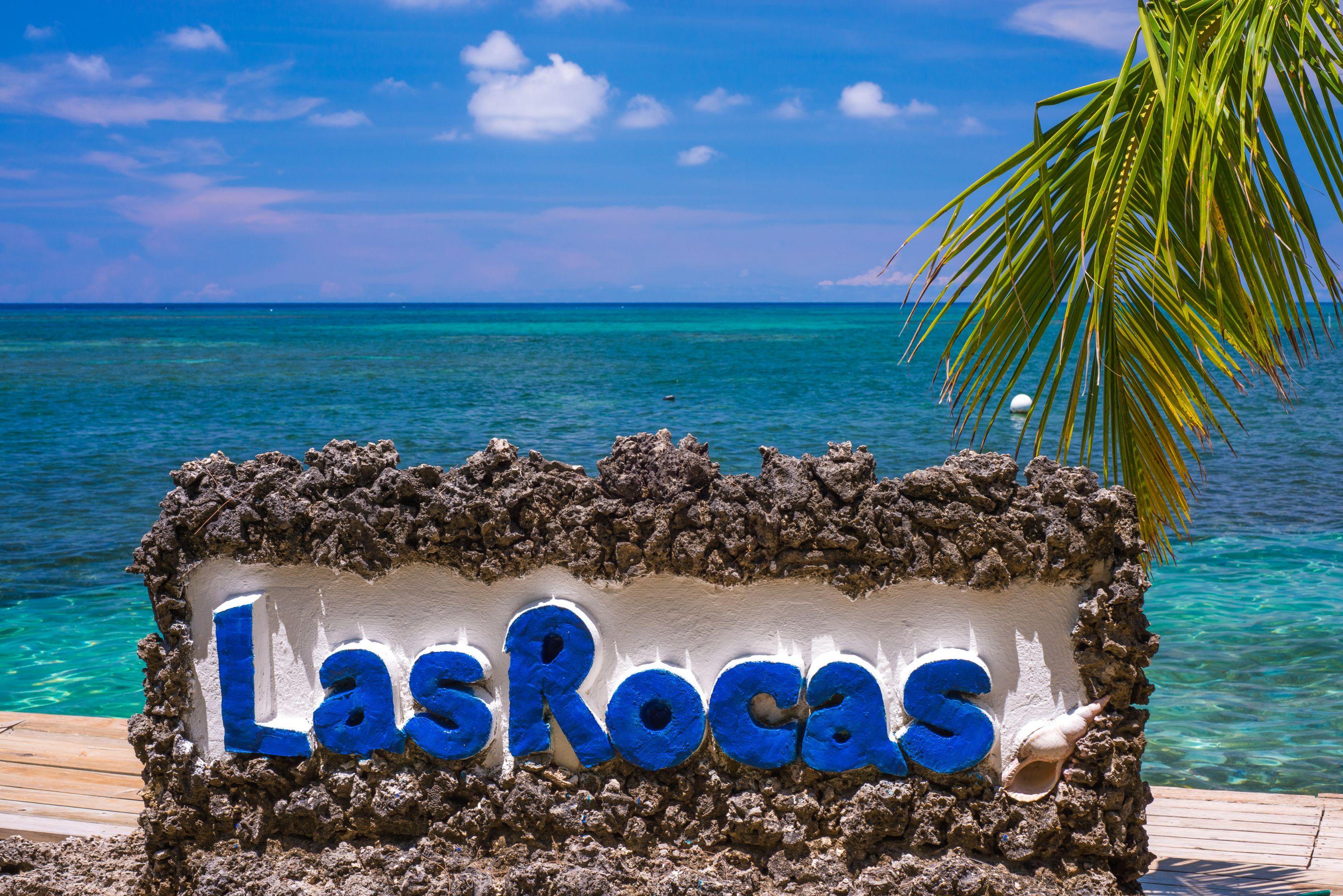 Las Rocas Resort And Dive Center West Bay Buitenkant foto